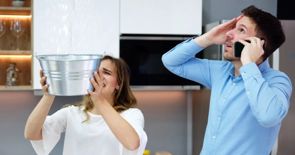 Ce que les propriétaires doivent éviter pour prévenir les dégâts.